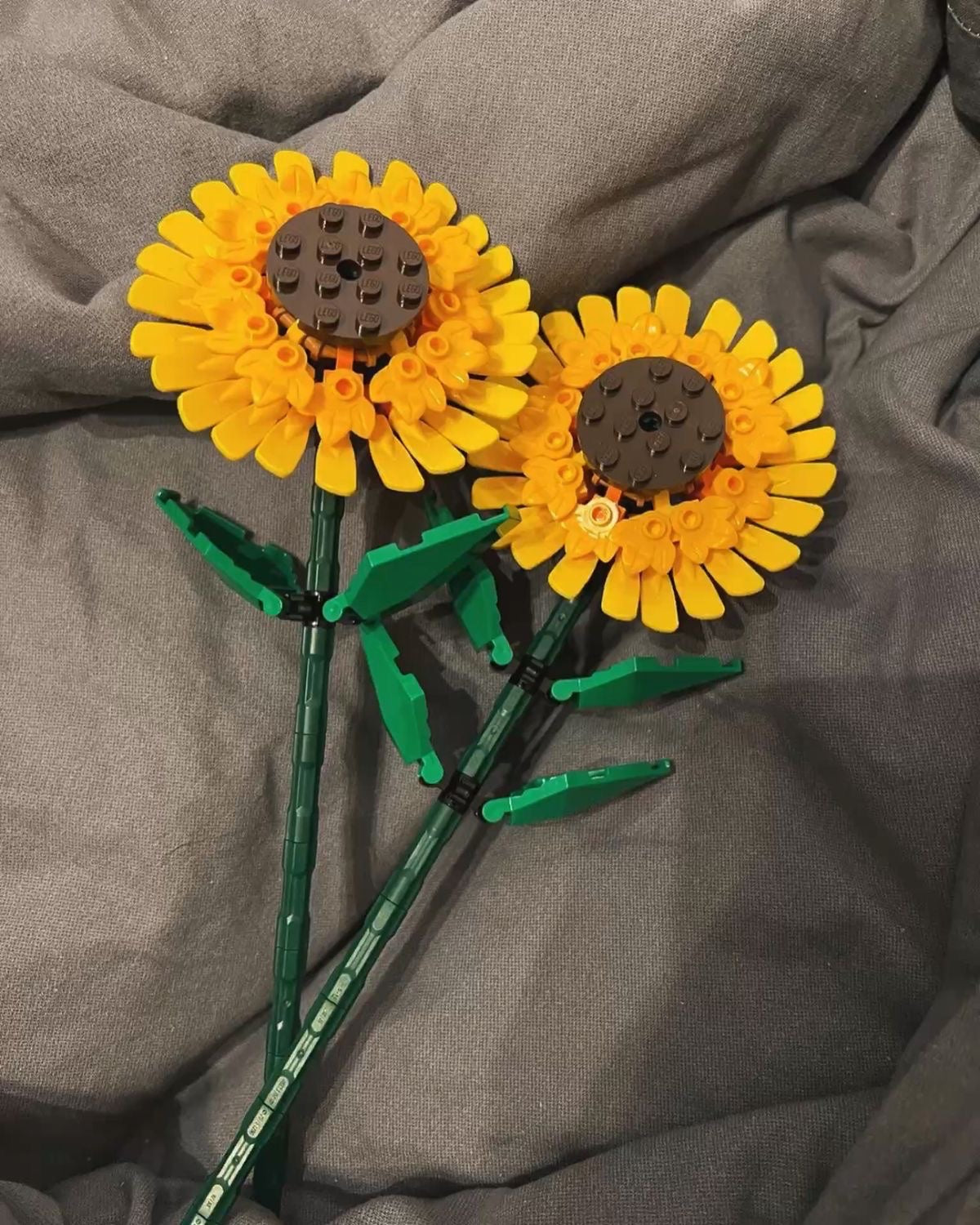 Brick Petals - SunFlower